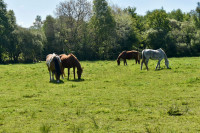 Pension de propri�taires